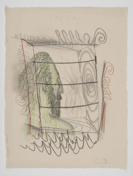 Self Diagram #3, Colored pencil, pencil and charcoal on paper