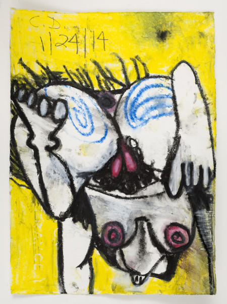 Untitled (1/24/14), Watercolor crayon and pencil on paper