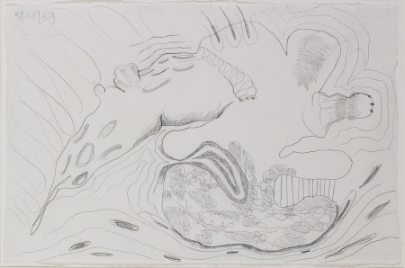 Untitled, Pencil on paper