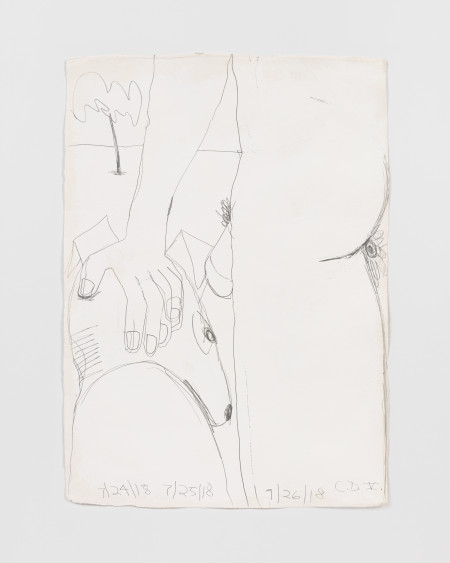 White Male With Dog V, Casein and graphite on paper